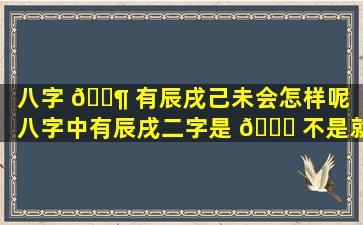 八字 🐶 有辰戌己未会怎样呢（八字中有辰戌二字是 🐎 不是就没有贵人了）